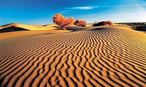 Variable Frequency Drives